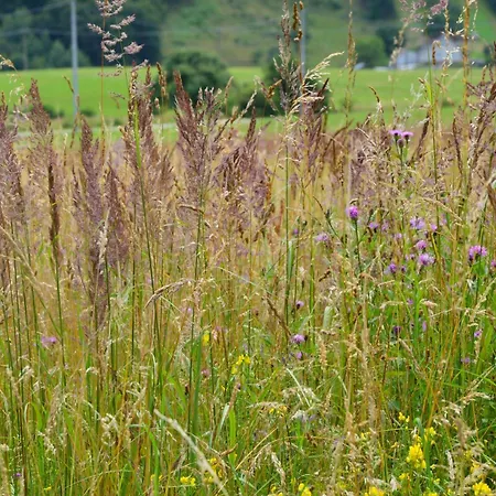 Romanticka Na Laze Dom wakacyjny Ostry Grun