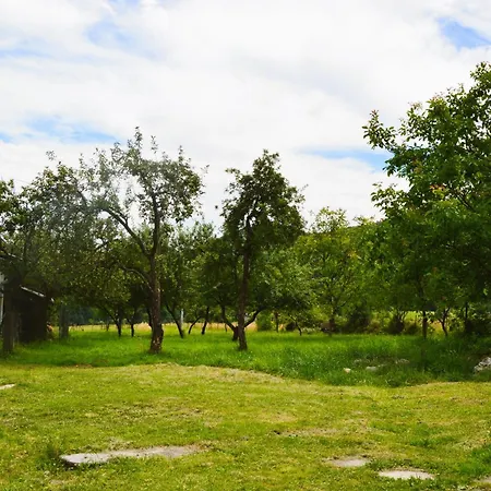 Holiday home Romanticka Na Laze Ostry Grun