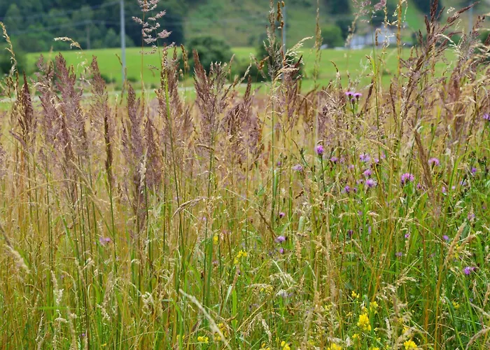 Romantická Na Laze Casa vacanze Ostry Grun